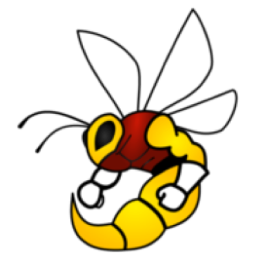Engineering & Computer Science Association